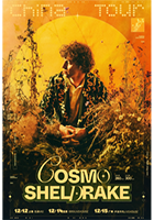 探索自然之声：Cosmo Sheldrake巡演 上海站【影响呈现】